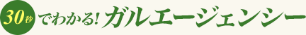 30秒でわかる!ガルエージェンシー