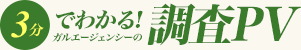 3分でわかる!ガルエージェンシーの調査PV